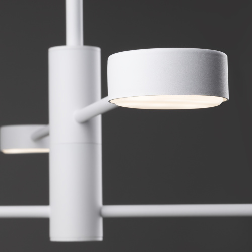 Потолочный светильник Freya FR5363CL-04W фото 2 Потолочный светильник Freya FR5363CL-04W фото 2